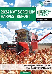 2024 sorghum cover